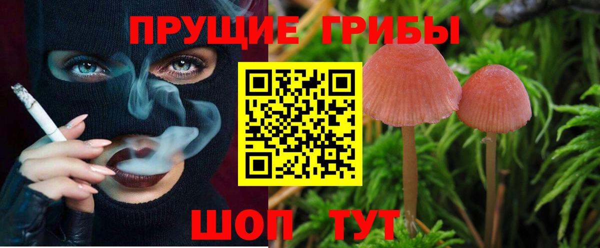 Псилоцибиновые грибы Cubensis Мурманск