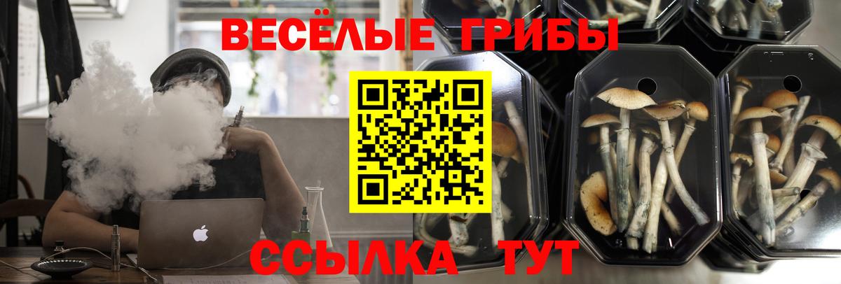 Мурманск  Псилоцибиновые грибы прущие грибы  Вход с VPN 